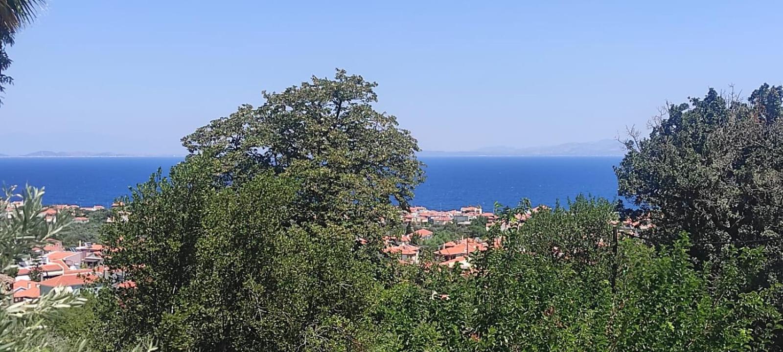 Akrotiri Apartamento *